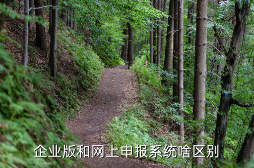 為什么要用單機(jī)版報(bào)稅，網(wǎng)上報(bào)個(gè)人所得稅填寫(xiě)的步驟