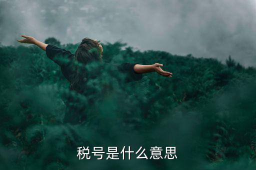 納稅號碼是什么意思，稅號是什么意思