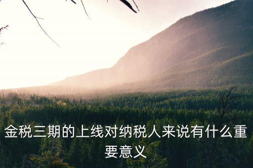 金稅三期的重點是什么意思，金稅三期是什么意思
