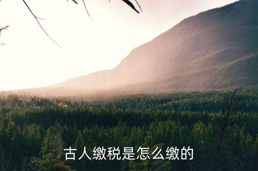 古代稅收交什么，古人繳稅是怎么繳的