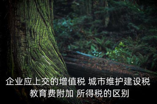 企業(yè)應上交的增值稅 城市維護建設稅 教育費附加 所得稅的區(qū)別