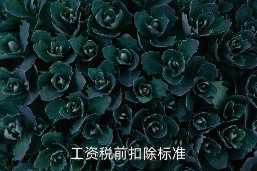 什么是稅前扣除標(biāo)準(zhǔn)，請(qǐng)問(wèn)差旅費(fèi)稅前扣除標(biāo)準(zhǔn)是什么