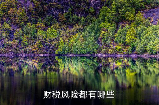 財(cái)稅問(wèn)題有什么，請(qǐng)教財(cái)稅的基礎(chǔ)問(wèn)題謝謝很簡(jiǎn)單的