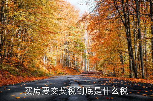 契稅的征稅范圍是什么，契稅的征稅范圍主要有哪些