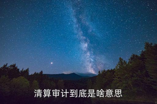什么是申報清冊，電子稅務(wù)廳的重新獲取申報清冊是什么意思