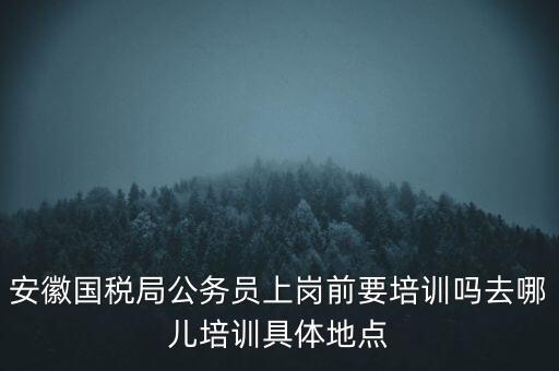 安徽國稅什么時候培訓(xùn)，安徽省稅務(wù)學(xué)校還在嗎那里的教學(xué)樓宿舍和操場都還在嗎沒被拆
