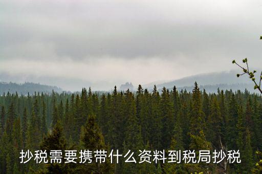 報(bào)稅查什么輔導(dǎo)信息，剛申請(qǐng)為一般納稅人在哪查看是否要經(jīng)過輔導(dǎo)期納稅申報(bào)初始化填5