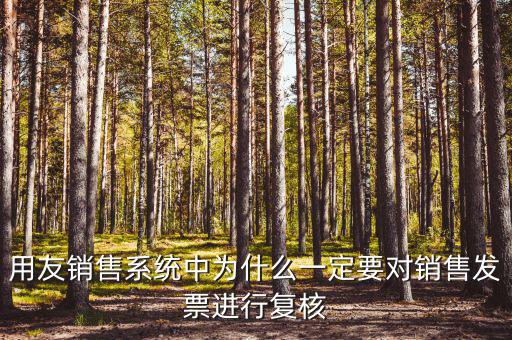 用友銷(xiāo)售系統(tǒng)中為什么一定要對(duì)銷(xiāo)售發(fā)票進(jìn)行復(fù)核