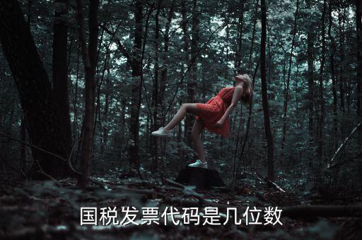 發(fā)票代碼是什么位置，國稅普票代碼是幾位數(shù)字在什么位置