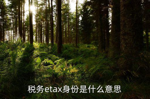 稅務(wù)信息化管理師是什么意思，稅務(wù)etax身份是什么意思