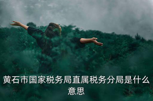 國稅直屬分局是什么局，國稅局是什么單位