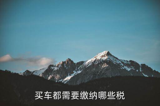 車輛納稅需要什么意思，車輛上路需要交什么稅