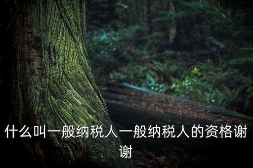 什么是一般納稅人資格證嗎，什么叫一般納稅人一般納稅人的資格謝謝