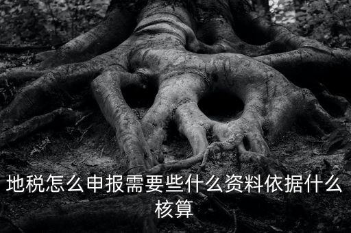 地稅根據(jù)什么申報(bào)，地稅怎么申報(bào)