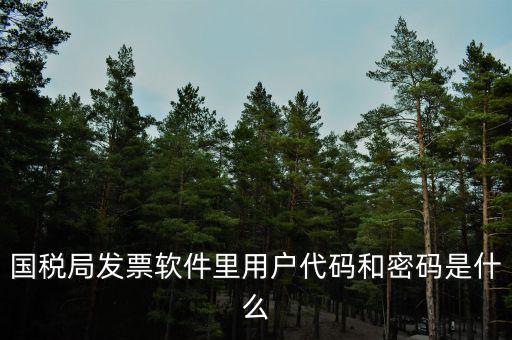 網(wǎng)絡(luò)發(fā)票 登錄密碼是什么，國(guó)稅局發(fā)票軟件里用戶代碼和密碼是什么
