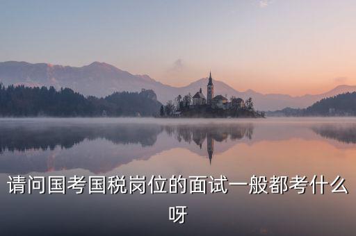 國稅標兵人才考什么，國稅通用能力測試考什么