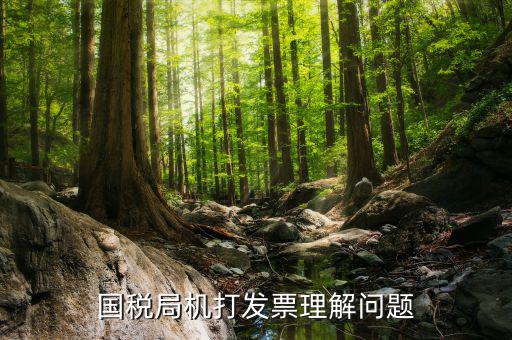 機(jī)打票是什么問(wèn)題，個(gè)體工商戶開(kāi)機(jī)打票的問(wèn)題