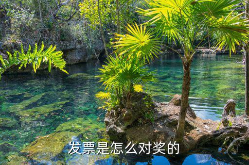有獎發(fā)票是什么，天津有獎發(fā)票二次開獎日期查詢方法
