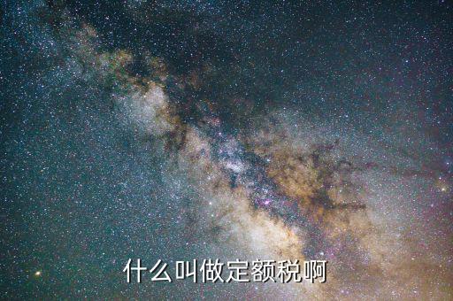 定額定稅是什么意思，什么叫做定額稅啊