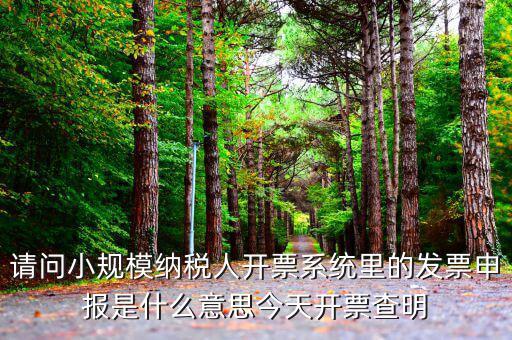 稅票申報(bào)是什么意思，納稅申報(bào)與申報(bào)納稅是一個(gè)意思嗎都是代理記賬的業(yè)務(wù)范疇嗎  搜