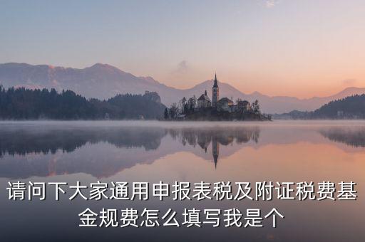 通用申報(bào)基金規(guī)費(fèi)包括什么，請(qǐng)問下大家通用申報(bào)表稅及附證稅費(fèi)基金規(guī)費(fèi)怎么填寫我是個(gè)