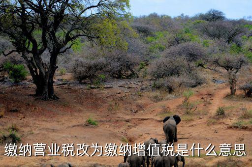 營(yíng)業(yè)稅改為增值稅是什么意思，營(yíng)業(yè)稅改增值稅指的是什么