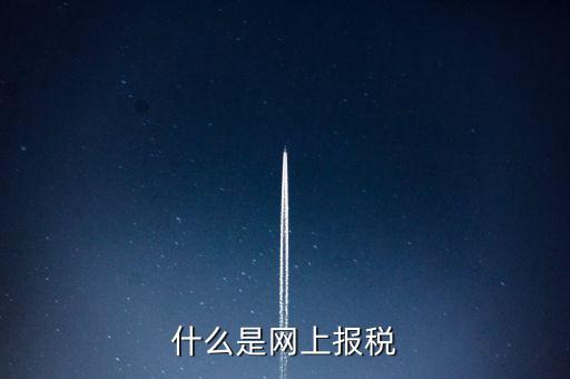 網(wǎng)上報(bào)稅是指報(bào)什么稅，網(wǎng)上報(bào)稅 是報(bào)的什么