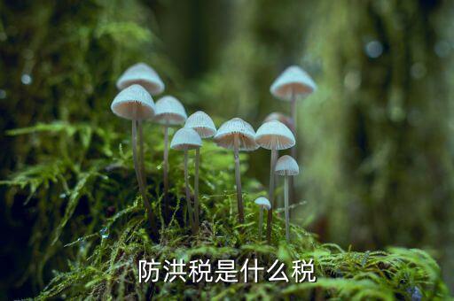 什么防洪稅，水利工程建設(shè)防洪工程應(yīng)交什么稅