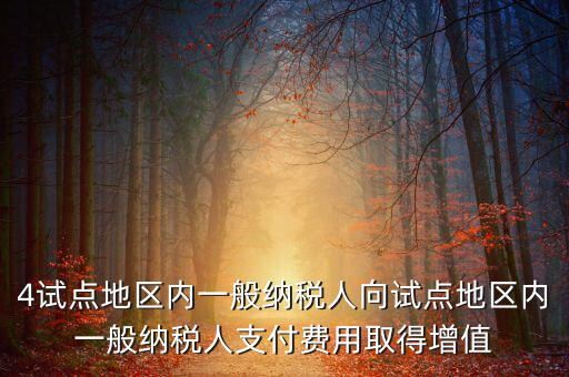 4試點地區(qū)內(nèi)一般納稅人向試點地區(qū)內(nèi)一般納稅人支付費(fèi)用取得增值