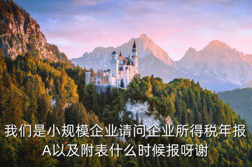 所得稅年報填什么時間，企業(yè)所得稅年報什么時候報