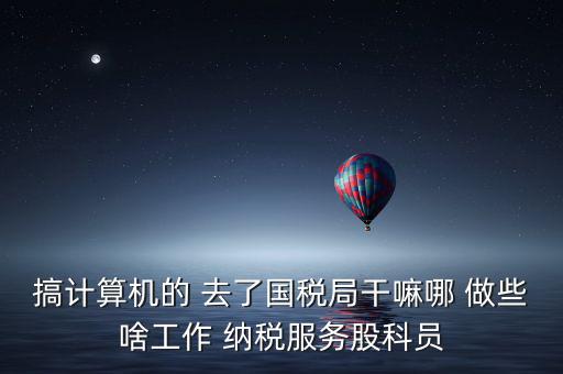 納服科是什么，搞計算機(jī)的 去了國稅局干嘛哪 做些啥工作 納稅服務(wù)股科員