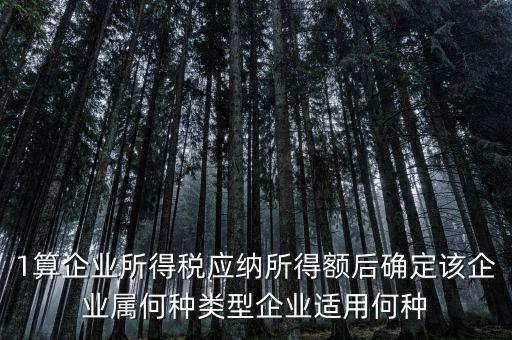 什么企業(yè)屬于小微企業(yè)所得稅，企業(yè)所得稅小微企業(yè)所得稅
