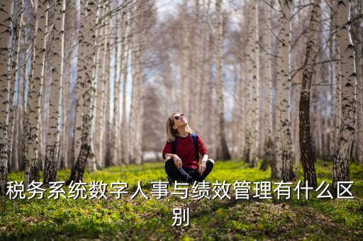 數(shù)字人事評(píng)是什么，稅務(wù)系統(tǒng)數(shù)字人事與績(jī)效管理有什么區(qū)別