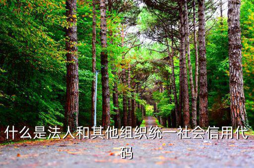 機(jī)關(guān)有社會(huì)信用代碼是什么意思，社會(huì)信用代碼與機(jī)構(gòu)信用代碼有什么不同