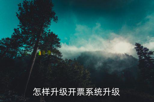開票用什么軟件升級，怎樣升級開票系統(tǒng)升級