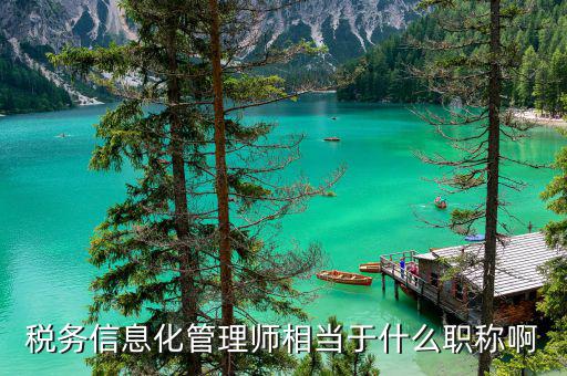 稅務信息化管理師是什么，稅務信息化管理師證有什么意義么