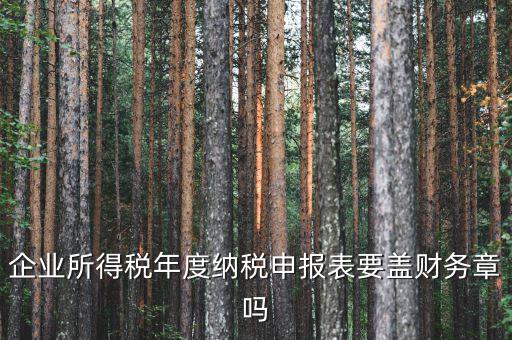 所得稅年報要蓋什么章，企業(yè)所得稅年度納稅申報表要蓋財務(wù)章嗎