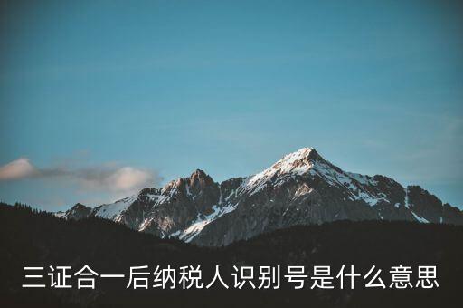 三證合一稅務(wù)識別號是什么意思，三證合一后納稅人識別號是什么意思