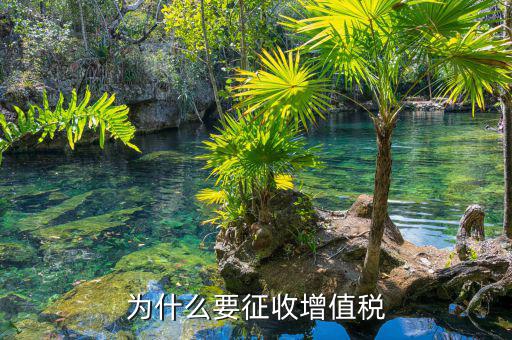 境外勞務為什么要交增值稅，為什么要交增值稅