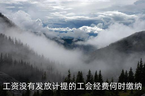 工資沒有發(fā)放計提的工會經(jīng)費(fèi)何時繳納