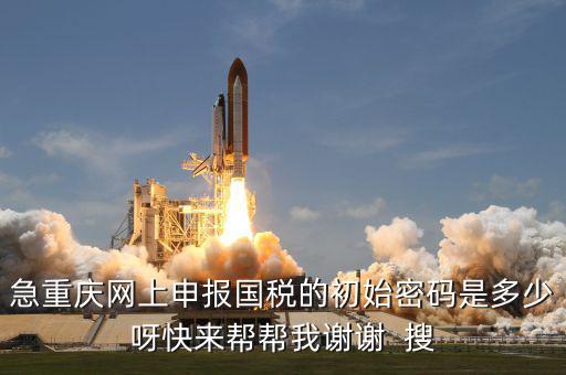 網(wǎng)上國稅申報的密碼是什么，急重慶網(wǎng)上申報國稅的初始密碼是多少呀快來幫幫我謝謝  搜