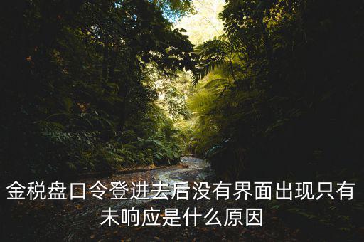 金稅盤口令登進去后沒有界面出現(xiàn)只有未響應是什么原因