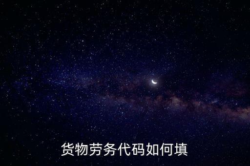 貨物勞務代碼如何填