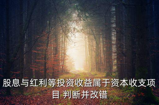 股息紅利等投資收益屬于什么，股息與紅利等投資收益屬于資本收支項(xiàng)目 判斷并改錯(cuò)