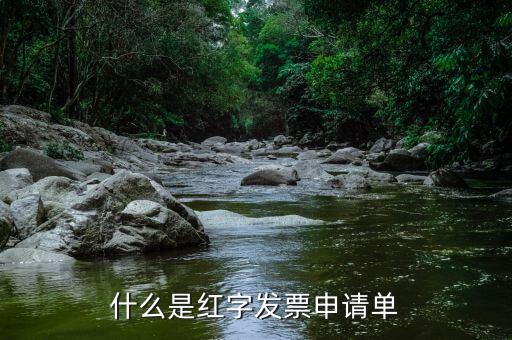 紅字申請(qǐng)單是什么意思，由銷(xiāo)售方申請(qǐng)開(kāi)具紅字發(fā)票是什么意思