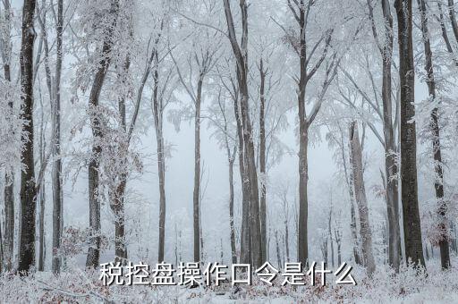 金稅盤開票密碼口令是什么意思，金稅盤清零后重新領(lǐng)取了發(fā)票開票口令是什么