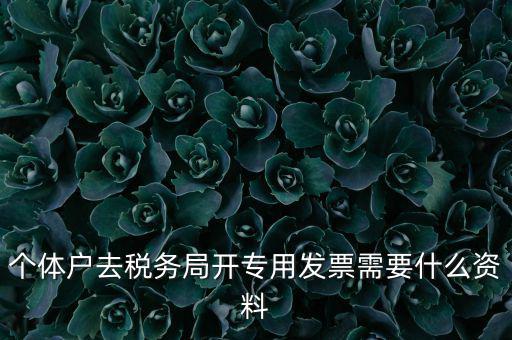 個(gè)體戶開(kāi)專票需要什么，個(gè)體在國(guó)稅局開(kāi)增值稅專用發(fā)票需要什么資料