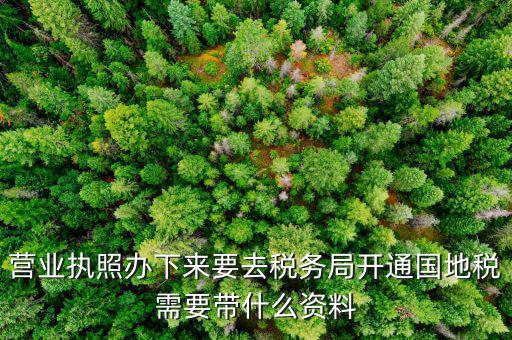 有了營(yíng)業(yè)執(zhí)照要帶什么去辦稅，拿到營(yíng)業(yè)執(zhí)照銀行開(kāi)戶(hù)后去辦稅帶什么證件
