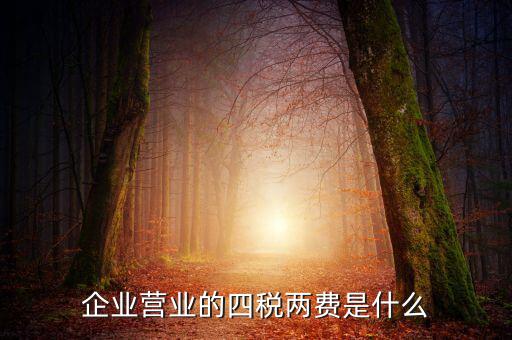 國(guó)稅的兩費(fèi)是什么，什么是一稅兩費(fèi)申報(bào)