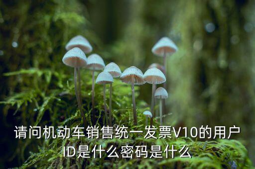發(fā)票登錄密碼是什么，國稅局發(fā)票軟件里用戶代碼和密碼是什么